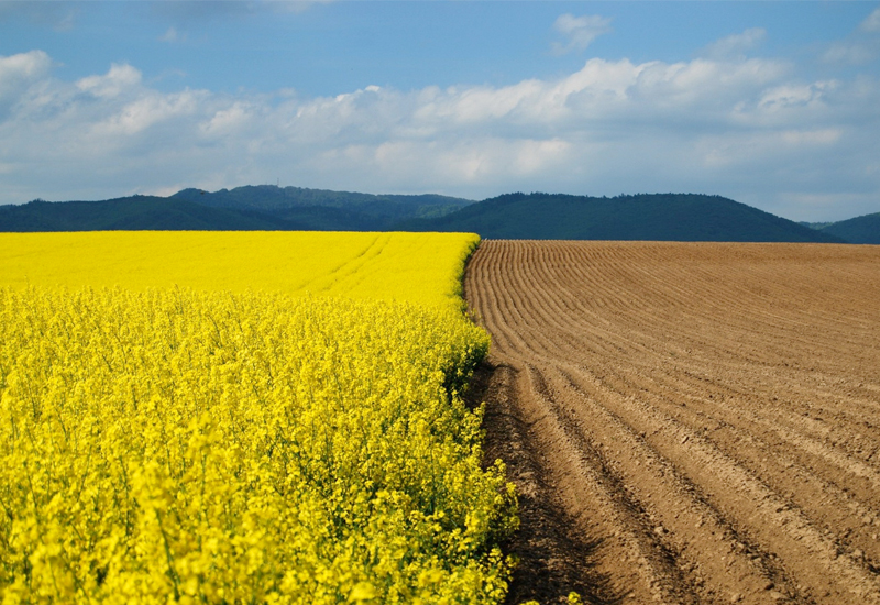 Земельні питання
